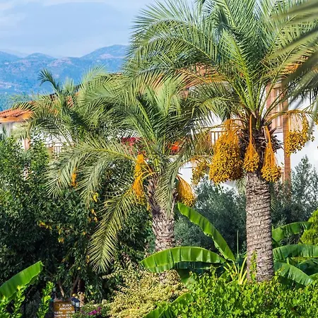 Eftalia Village Complex 5*